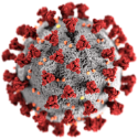 HIV
